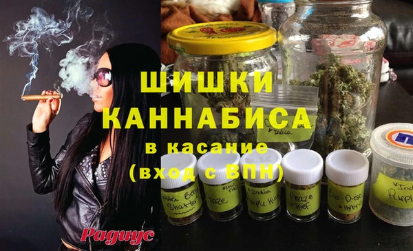 ГАЛЛЮЦИНОГЕННЫЕ ГРИБЫ Балабаново