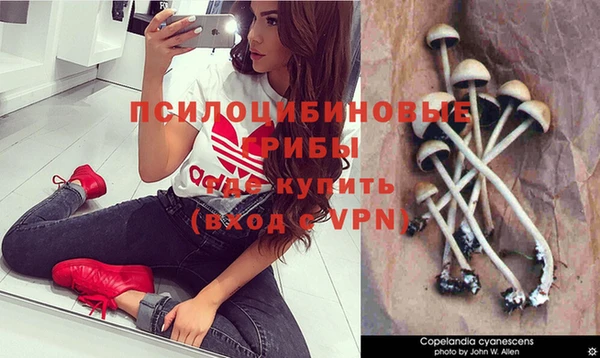 a pvp Беломорск