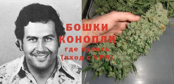 ГАЛЛЮЦИНОГЕННЫЕ ГРИБЫ Балабаново