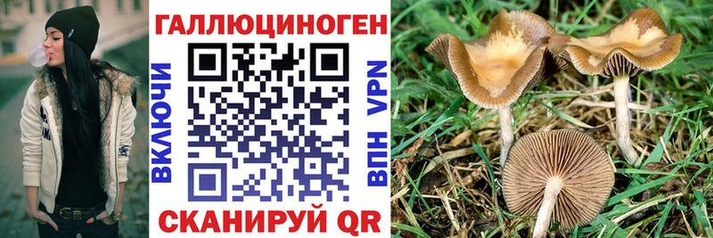 Купить  Семёнов  Галлюциногенные грибы GOLDEN TEACHER 